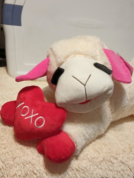 Multipet Other - NWT~ Multipet's Jumbo Valentines Plush Lamb Chop Dog Toy w/ Red 3-D Heart "XOXO"